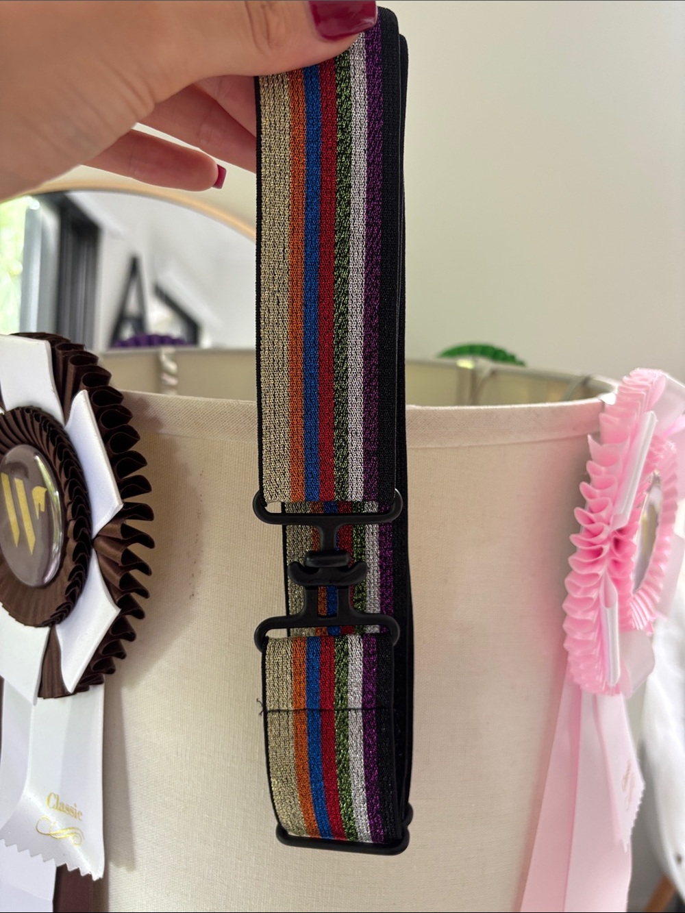 Multicolor Striped Adjustable Belt by Blue Ribbon Belts